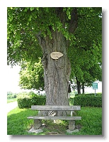 Kaeppele 016